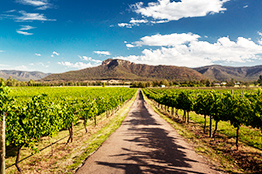 Hunter Valley vinmark i Newcastle