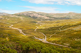 Thredbo