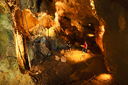 Grotterne Capricorn Caves i Rockhampton